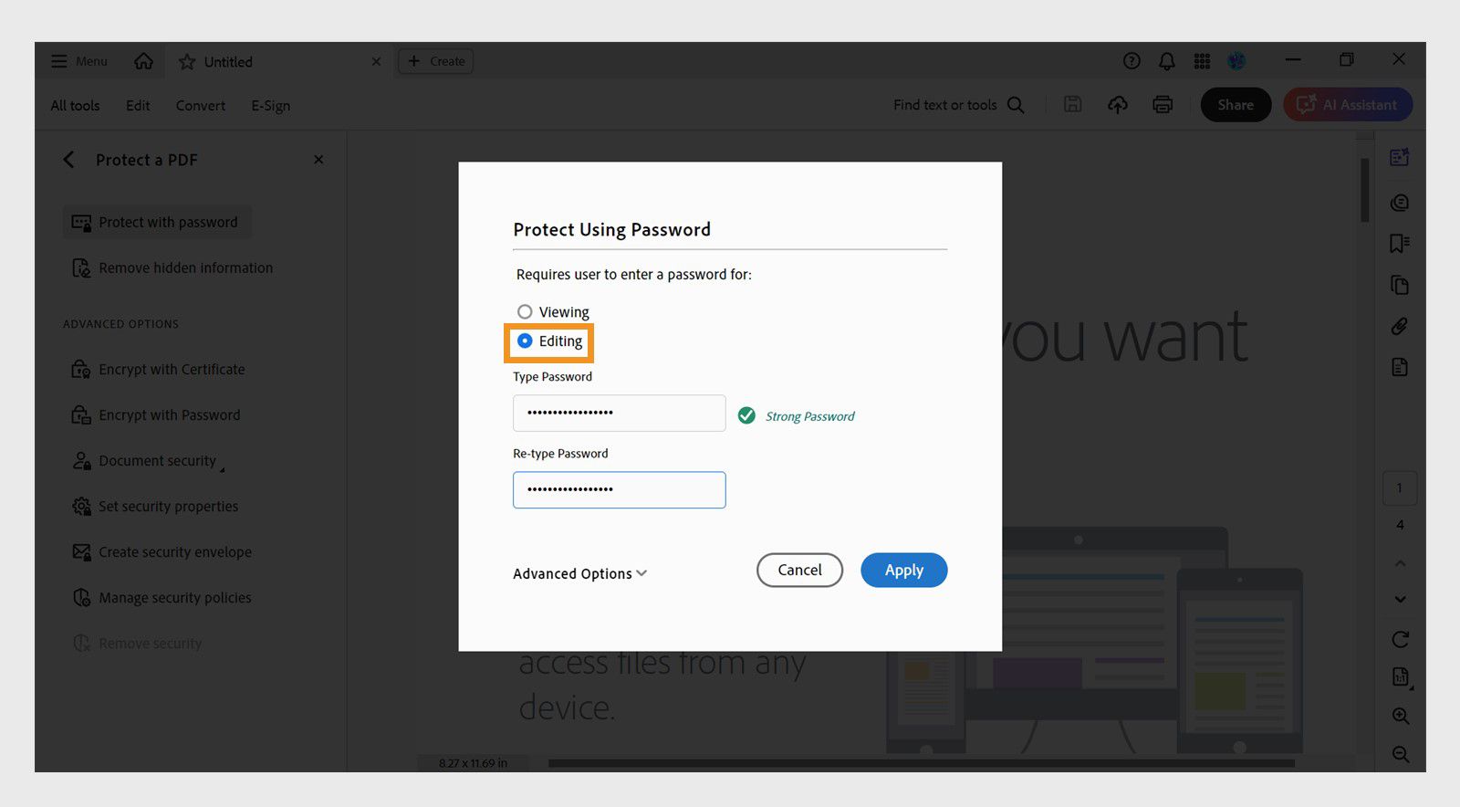 תיבת הדו-שיח Protect Using Password מציגה את האפשרות Editing מסומנת וסיסמה שהוזנה.