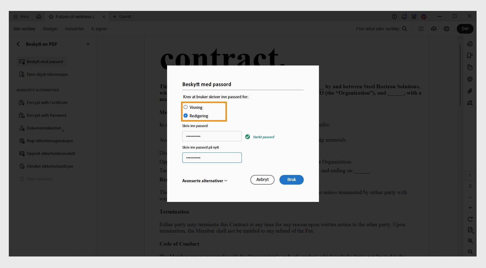 Dialogboksen Beskytt med passord viser at alternativet Redigering er valgt og et passord er skrevet inn.