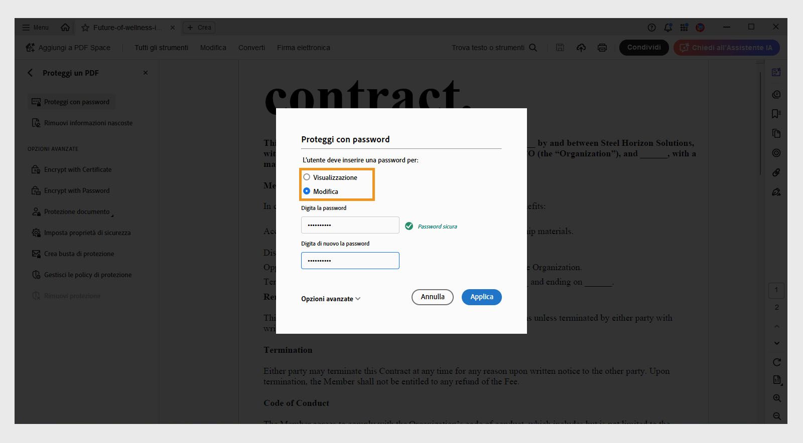 La finestra di dialogo Proteggi con password mostra l’opzione Modifica selezionata e una password inserita.