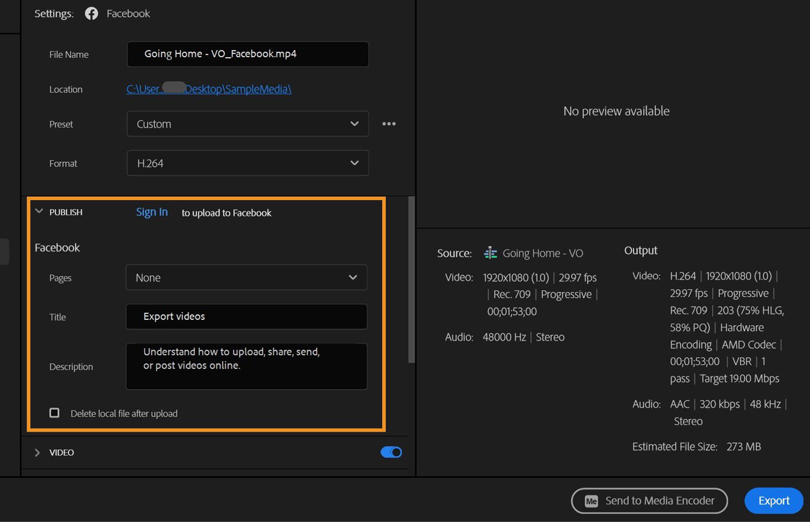 Se muestra la sección Publish con opciones para configurar las Páginas, el Título y la Descripción para la plataforma de medios sociales seleccionada, junto con una opción para eliminar el archivo local después de la carga.