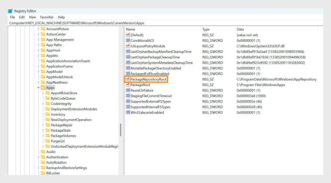 Okno Edytora rejestru pokazuje listę kluczy rejestru, w tym klucz rejestru PackageRepositoryRoot.
