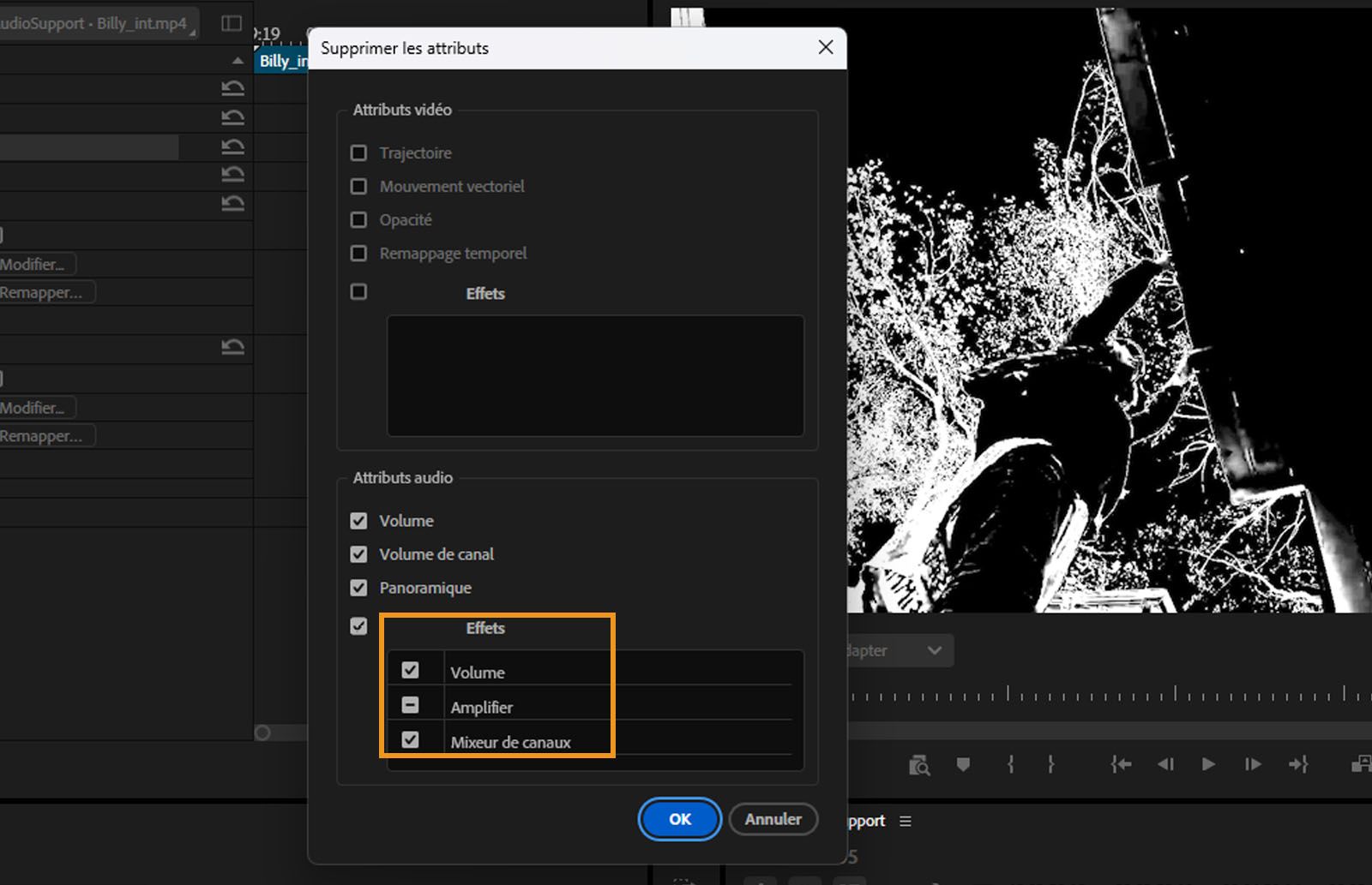 La boîte de dialogue Supprimer les attributs est ouverte, avec les effets sélectionnés marqués pour suppression dans la section Effets.