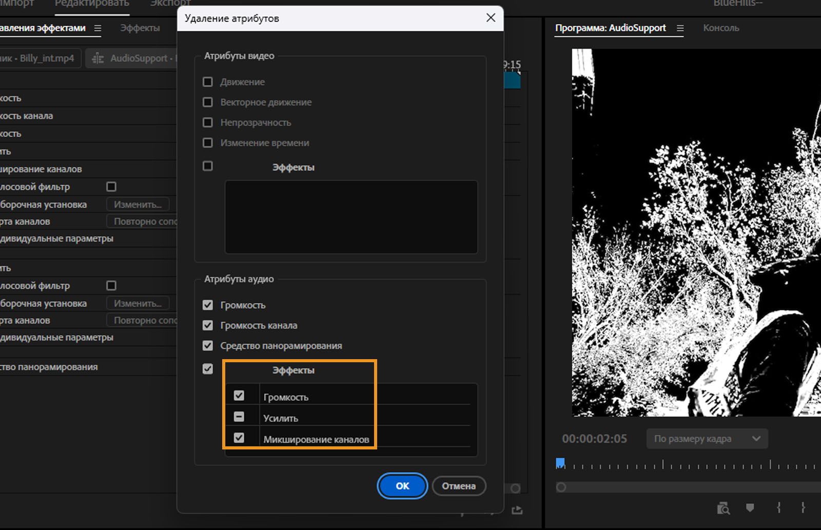 Открыто диалоговое окно «Удалить атрибуты», в котором в разделе «Эффекты» отмечены выбранные для удаления эффекты.