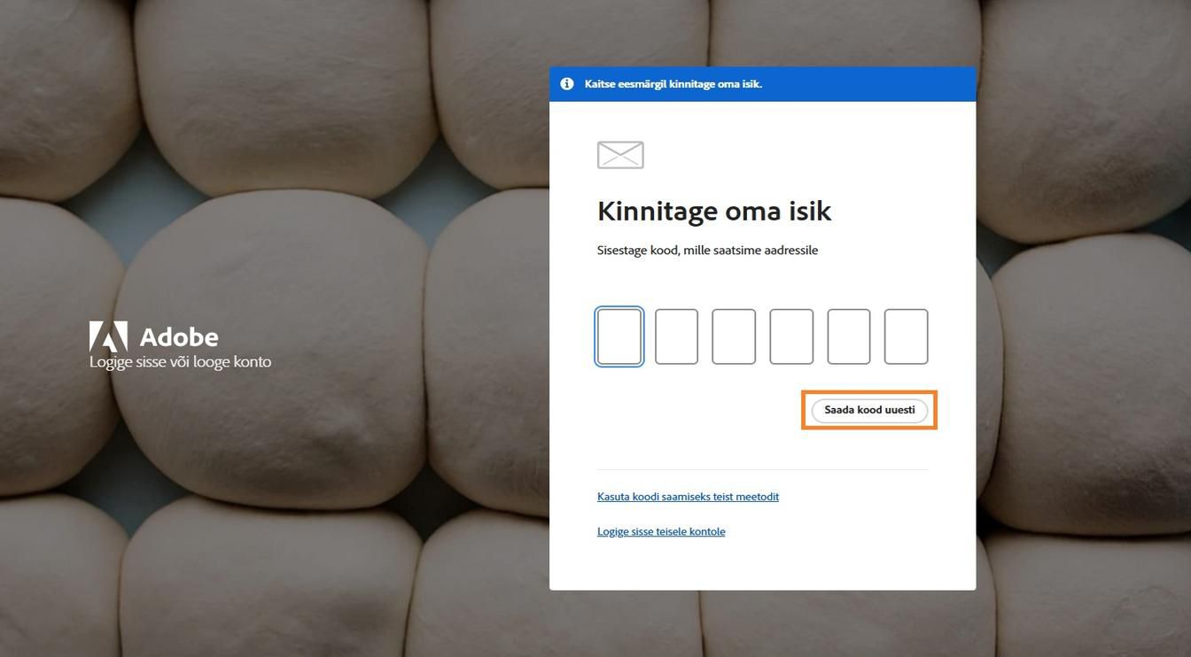 Nupp Saada kood uuesti aknas Kinnita oma isik saate taotleda uut kinnituskoodi.