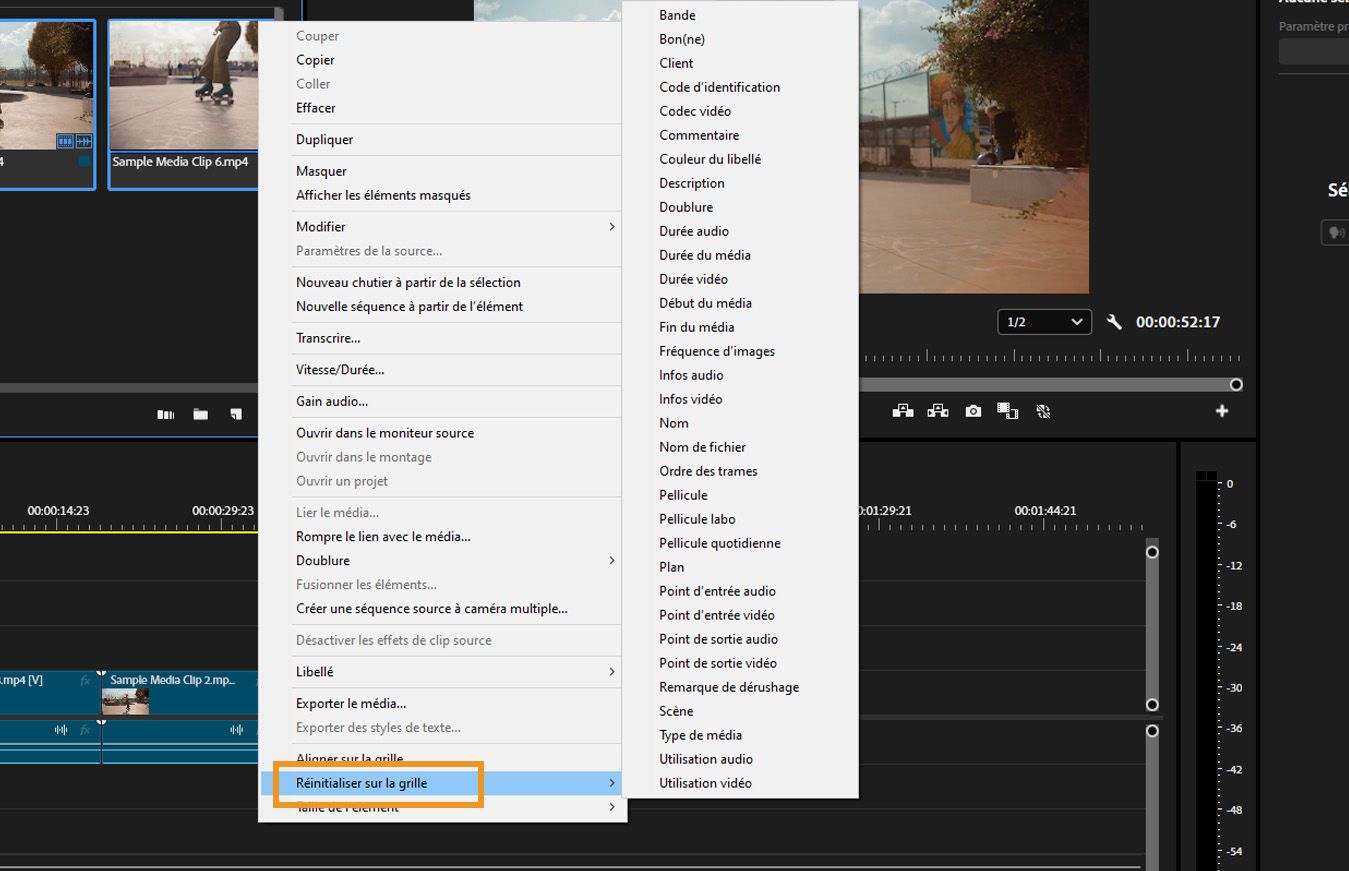 L'option Réinitialiser sur la grille est développée avec divers critères de tri tels que Remarque de dérushage, Infos vidéo et plus encore.