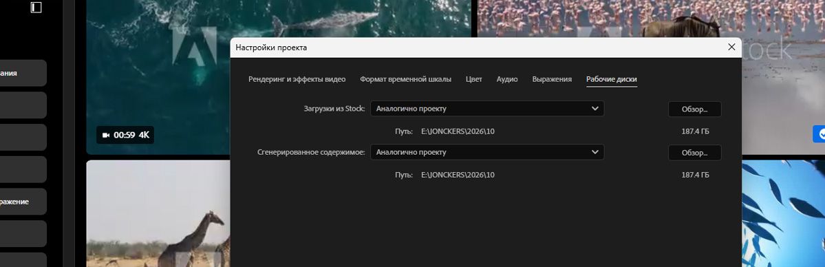Вкладка «Рабочие диски» в настройках проекта показывает путь к папке, установленный для загрузки Stock.