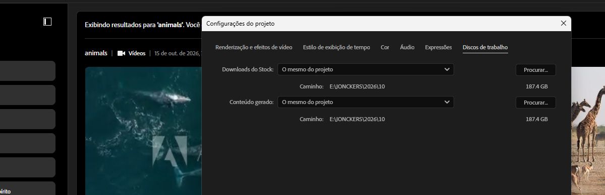 A guia Discos de trabalho nas Configurações do projeto exibe um caminho de pasta definido para downloads do Stock.