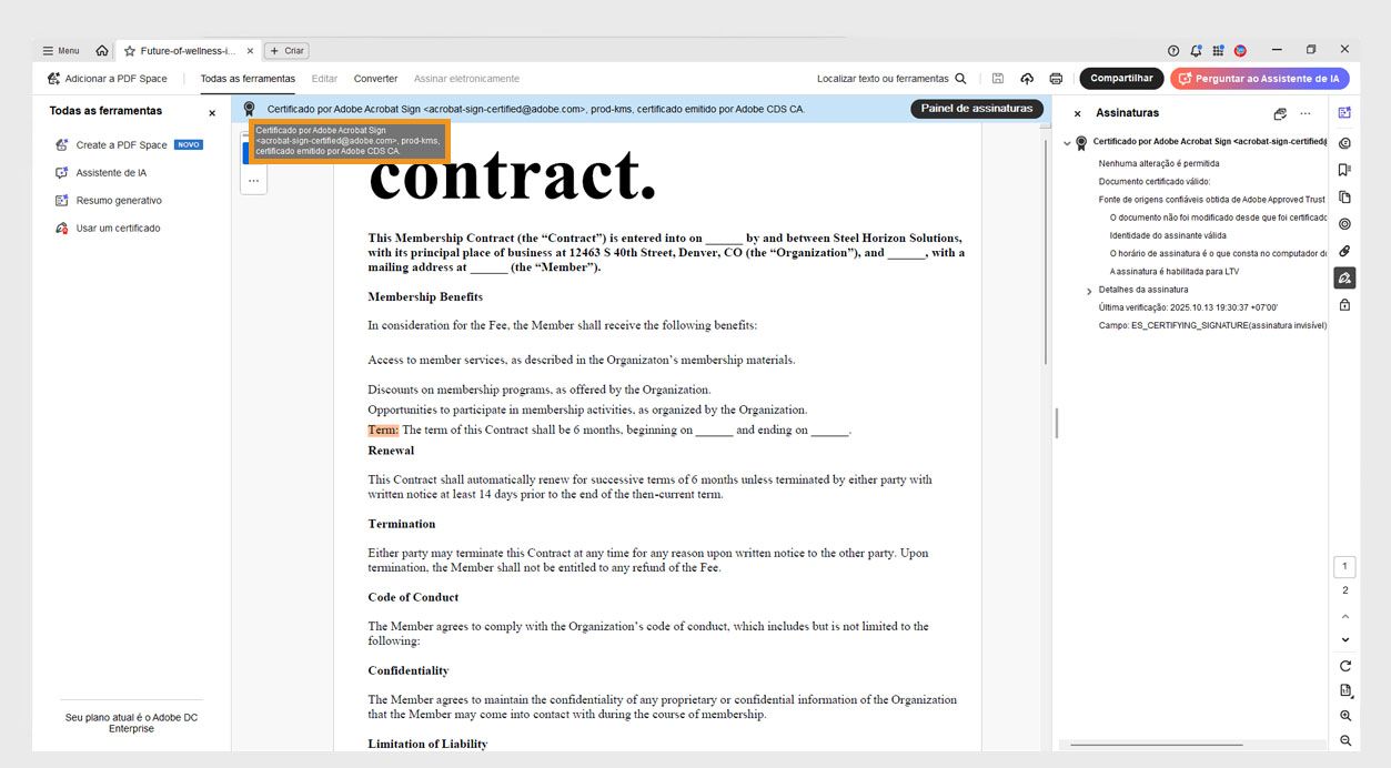 O emblema de assinatura em um portfólio PDF exibe o nome, a organização e o ID de e-mail do emissor do certificado. 