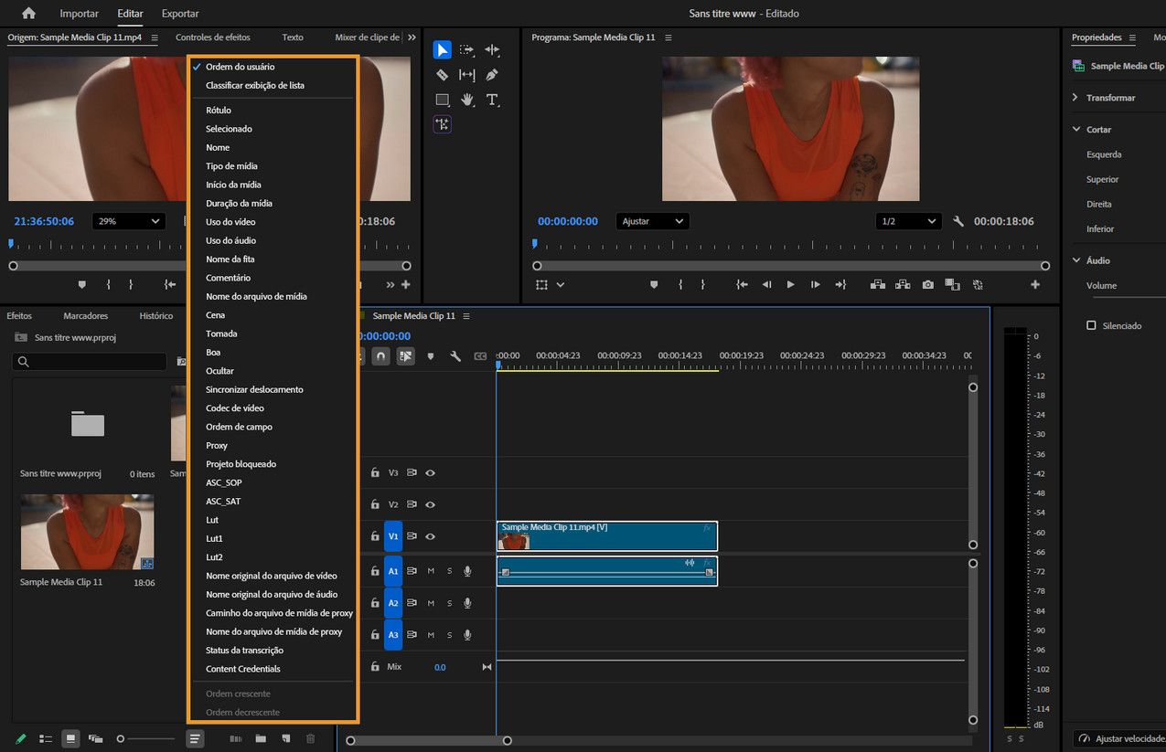 O painel exibe um menu suspenso do painel “Projeto”, mostrando opções de classificar clipes na “Visualização de ícones” com a ordem manual, configurações da visualização de lista ou campos de metadados.