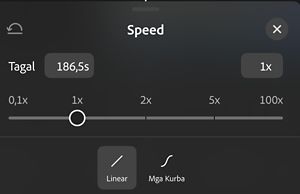 Ang Speed panel, na nagpapakita ng slider mula 0.1x hanggang 100x na nakatakda sa 1x, kasama ang Linear at Curves na mga opsyon sa ibaba.