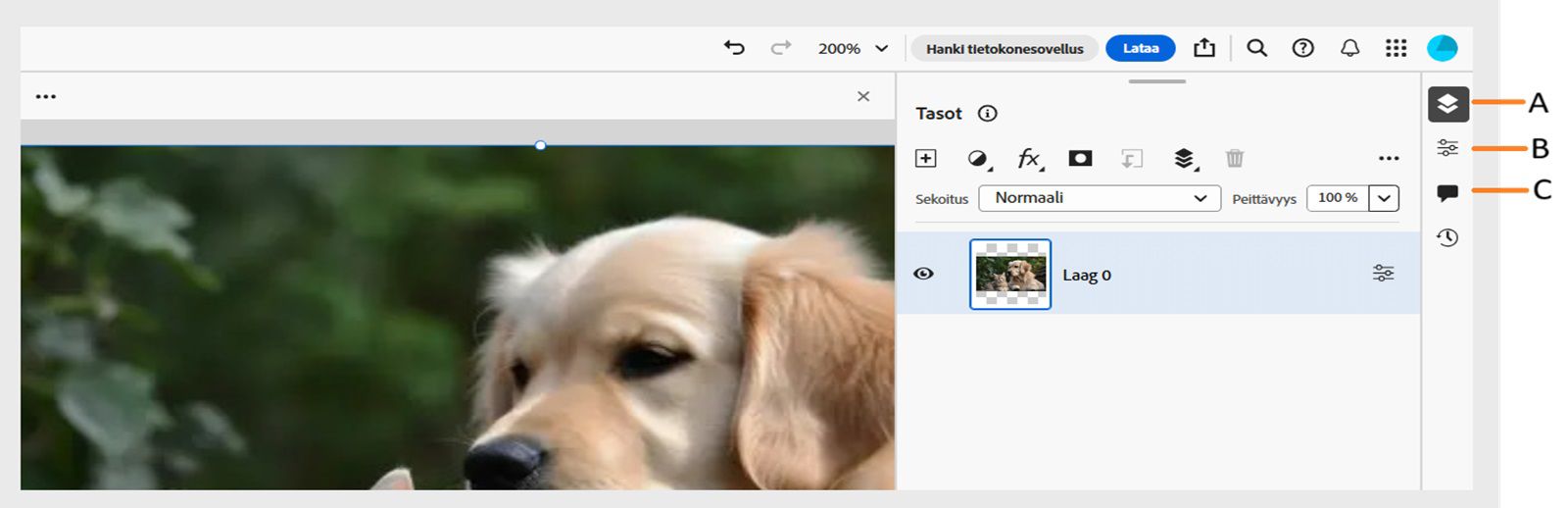 Oikean reunan tehtäväpalkissa näkyy selitteet Tasot-paneelille, Tason ominaisuudet -paneelille ja Kommentit-paneelille.