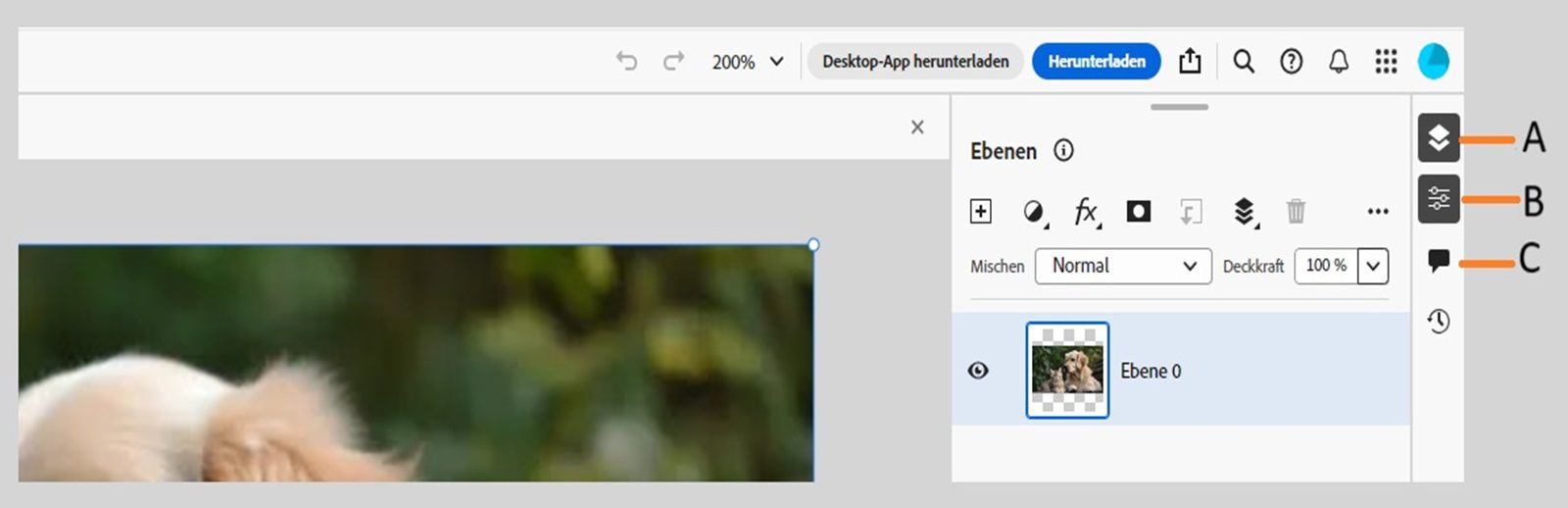 In der Taskleiste werden Beschreibungen für das Ebenenbedienfeld, das Bedienfeld „Ebeneneigenschaften“ und das Bedienfeld „Kommentare“ auf der rechten Seite des Bildschirms angezeigt.