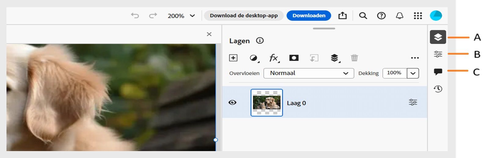 Op de taakbalk worden aan de rechterkant van het scherm opties weergegeven voor het deelvenster Lagen, het deelvenster Laageigenschappen en het deelvenster Opmerkingen.