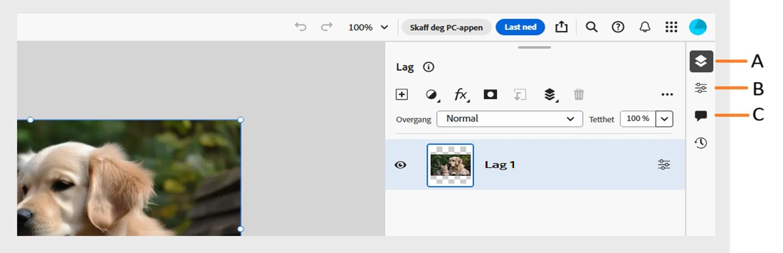 Oppgavelinjen viser bildetekster for Lag-panelet, Lagegenskaper-panelet og Kommentarer til høyre på skjermen.