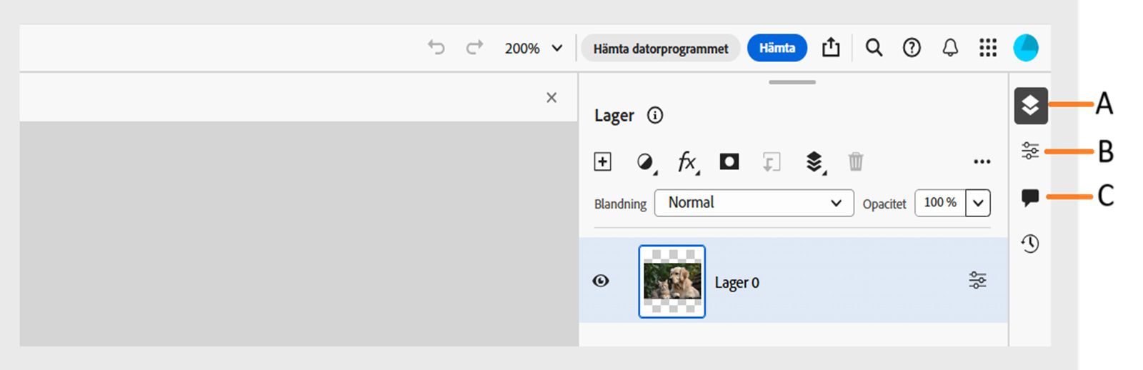 I aktivitetsfältet visas bildtexter för panelen Lager, panelen Lageregenskaper och panelen Kommentarer till höger på skärmen.