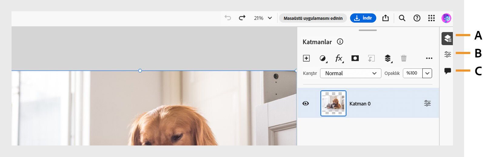 Görev Çubuğu, ekranın sağ tarafında Katmanlar paneli, Katman özellikleri paneli ve Yorumlar paneli için belirtme çizgileri gösterir.