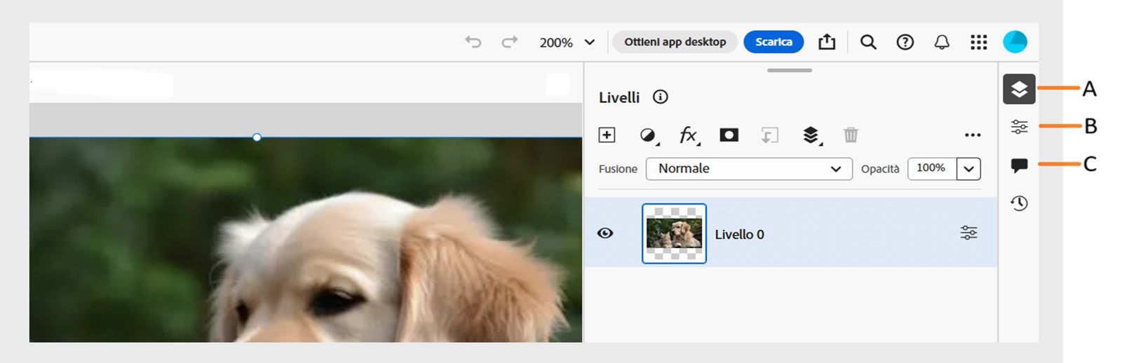 La barra delle applicazioni mostra le didascalie per il pannello Livelli, il pannello Proprietà livello e il pannello Commenti sul lato destro della schermata.