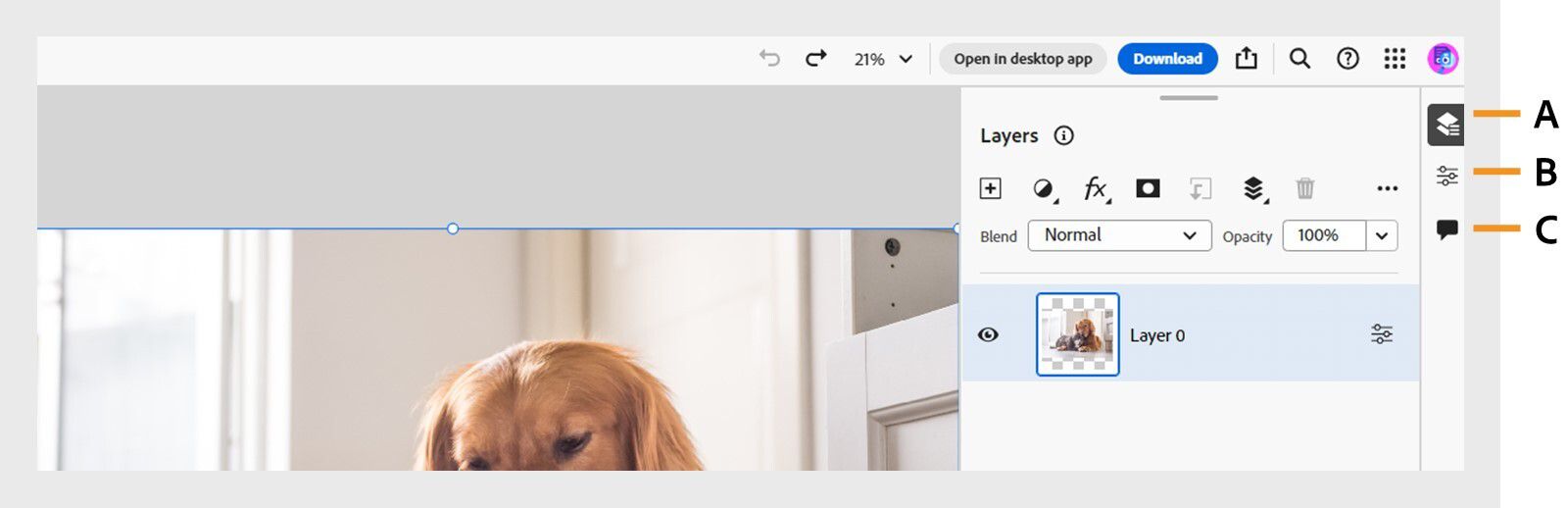 שורת המשימות מציגה הסברים עבור החלוניות Layers panel‏, Layer properties panel‏, ו-Comments panel בצד ימין של המסך.