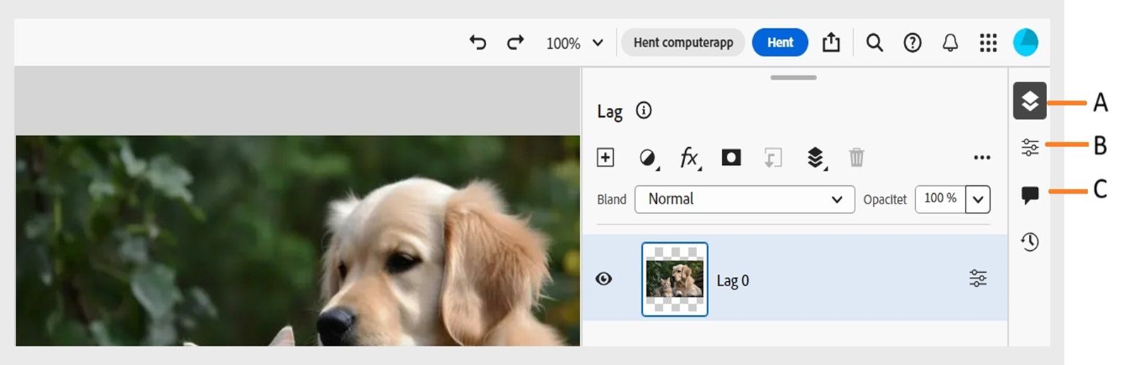 Proceslinjen viser billedforklaringer for panelet Lag, panelet Lagegenskaber og panelet Kommentarer i højre side af skærmen.