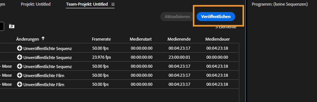 Das Bedienfeld „Team-Projekte“ enthält nun die neuen Bearbeitungen. Du kannst die Option „Veröffentlichen“ auswählen, um diese Änderungen allen Mitwirkenden zur Verfügung zu stellen.