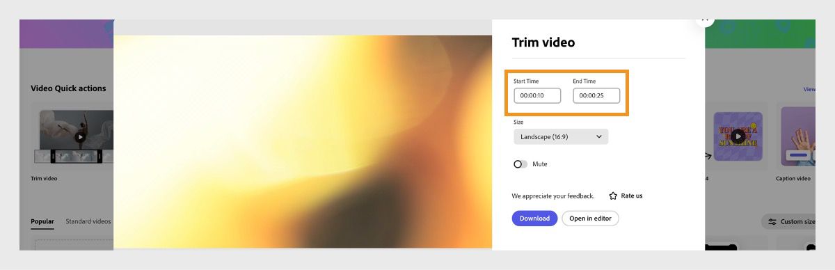 Prompten Trim video viser flere muligheder for at redigere videoen – starttidspunkt for trim, sluttidspunkt for trim, størrelse – samt en mulighed for at downloade den trimmede video.