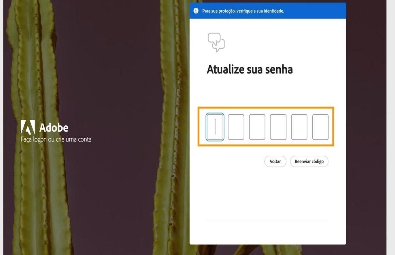 A janela Atualizar senha na página de logon com um campo destacado para inserir o código e verificar a identidade.
