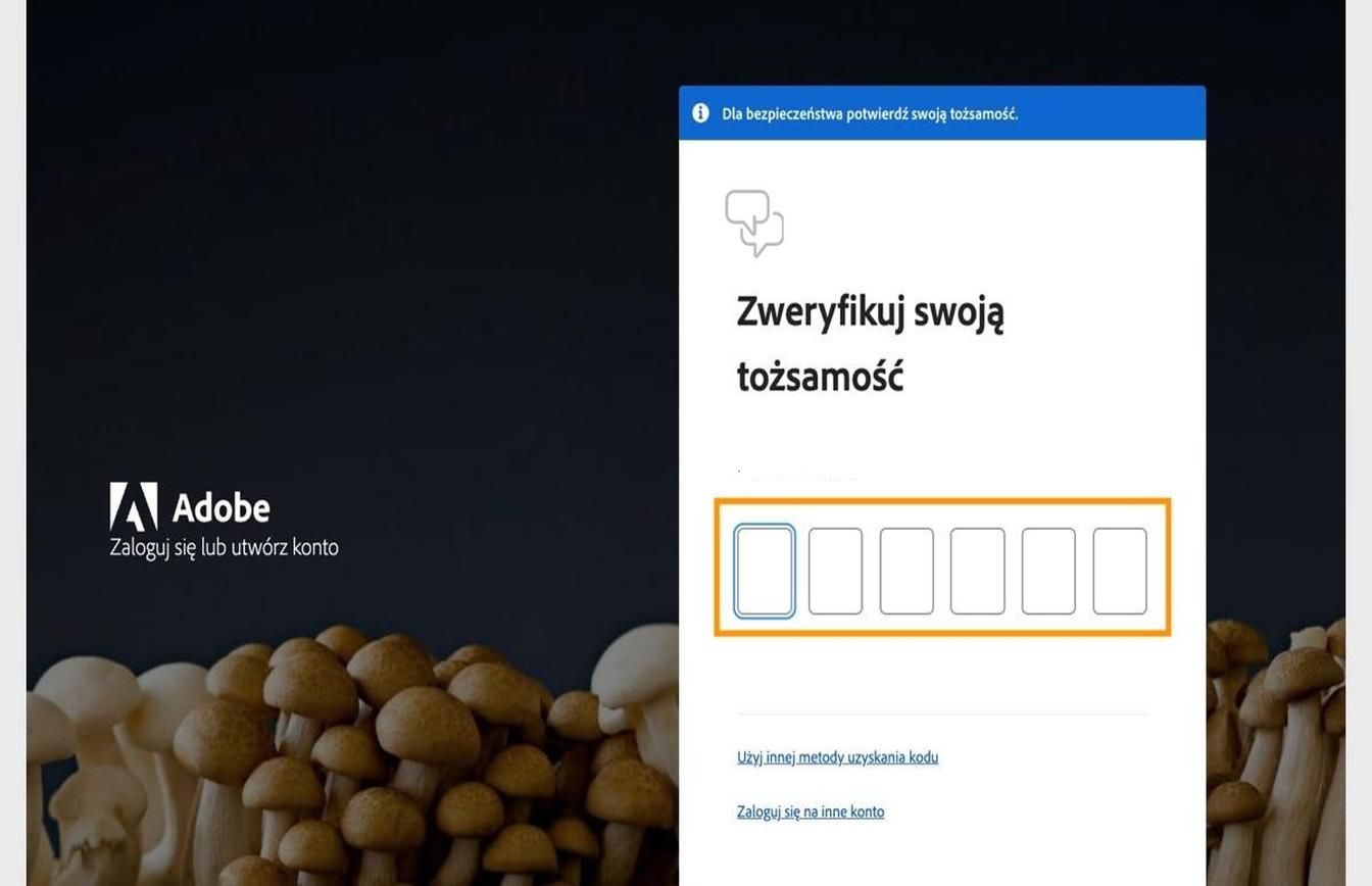 Okno Aktualizuj hasło na stronie logowania z wyróżnionym polem do wprowadzenia kodu i weryfikacji tożsamości.