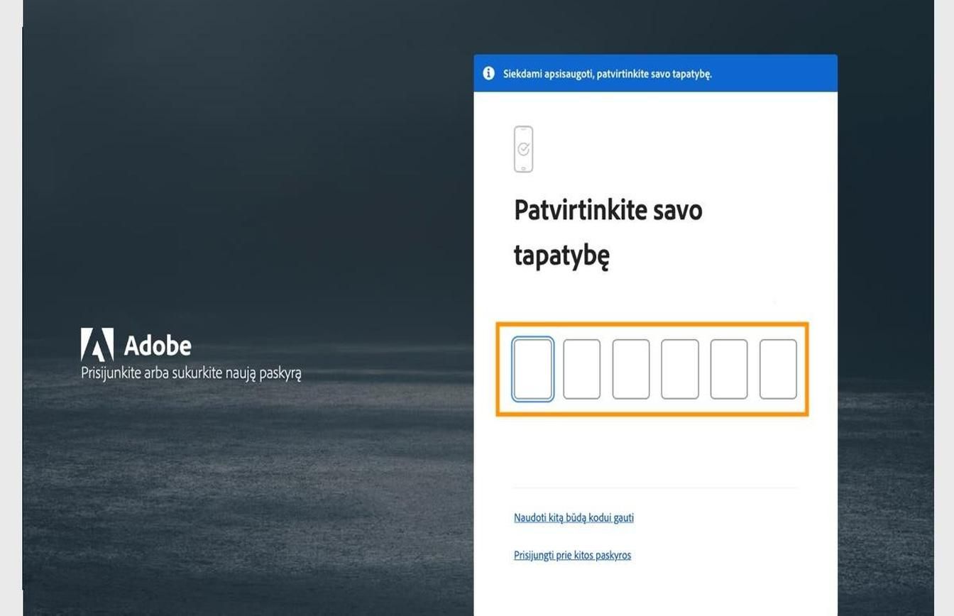 Langas „Atnaujinti slaptažodį“ prisijungimo puslapyje su paryškintu lauku, kuriame galite įvesti kodą ir patvirtinti tapatybę.