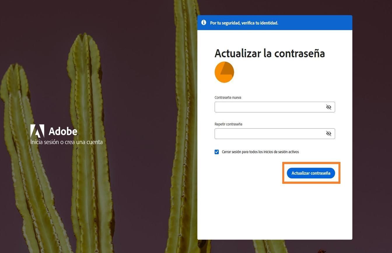 La ventana Actualizar su contraseña con dos campos para introducir la nueva contraseña y el botón Actualizar contraseña resaltado.