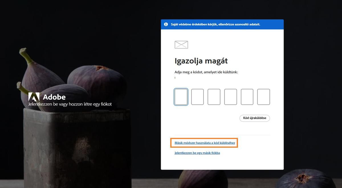A Másik mód használata a kód fogadásához gomb alternatív módszereket kínál az ellenőrző kód megszerzéséhez.