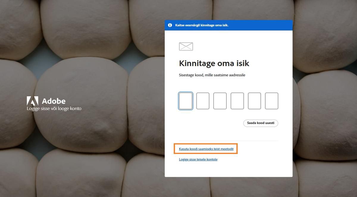 Nupp Kasuta koodi saamiseks muud meetodit pakub alternatiivseid meetodeid kinnituskoodi saamiseks.