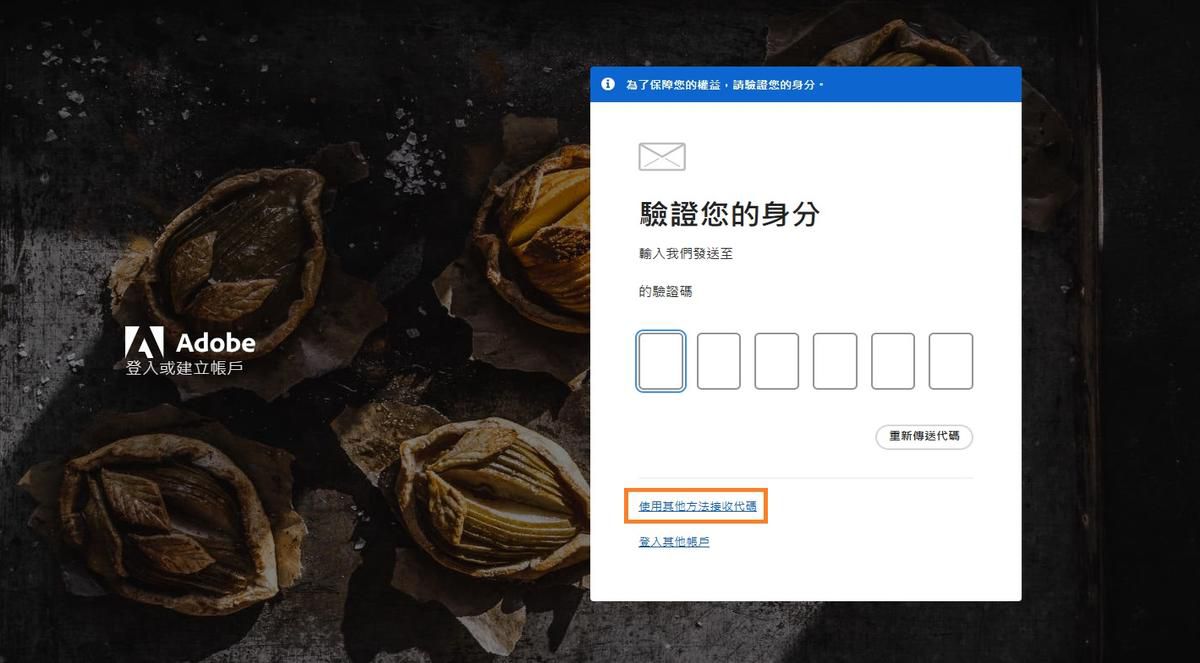 「使用其他方法接收驗證碼」按鈕提供取得驗證碼的替代方法。