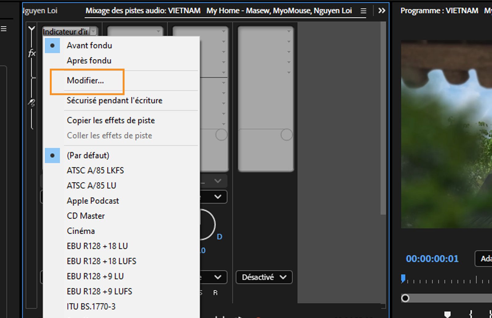 Développement du menu contextuel Radar d’intensité sonore dans le Mixage des pistes audio.