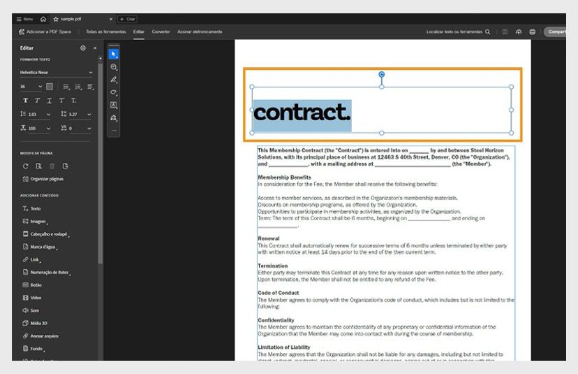 O painel do documento mostra a caixa de texto selecionada para o usuário editar. O painel Editar exibe várias opções de formatação de texto.