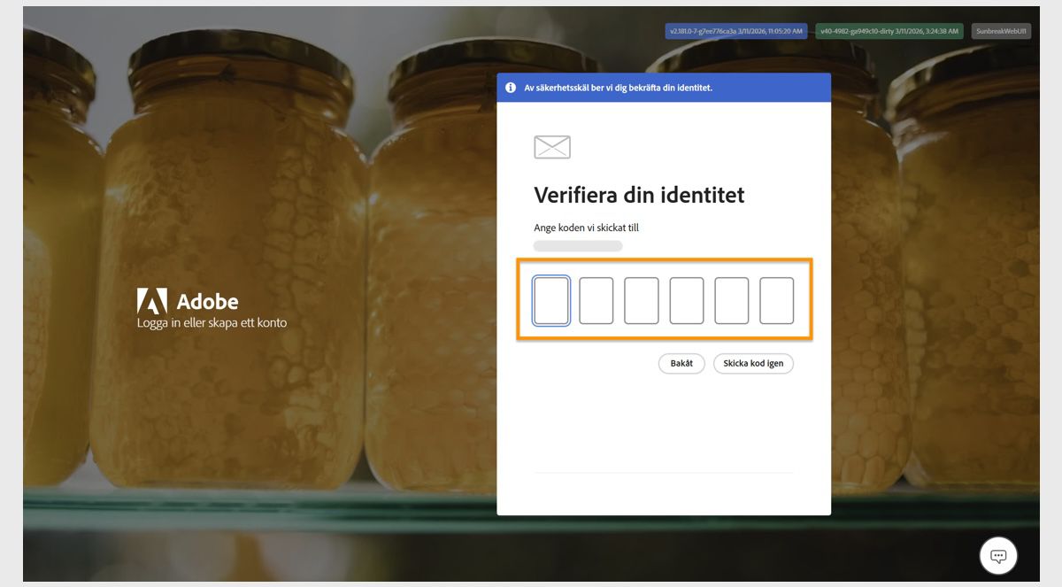 Fältet för att ange en verifieringskod, som finns i fönstret Verifiera din identitet på inloggningssidan, låter dig ange din kod och verifiera din identitet.