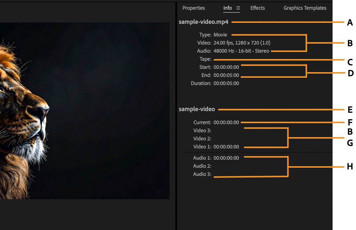El panel Info muestra las propiedades de vídeo, incluidos el nombre del archivo, las especificaciones de vídeo, la duración y los detalles de la cronología.