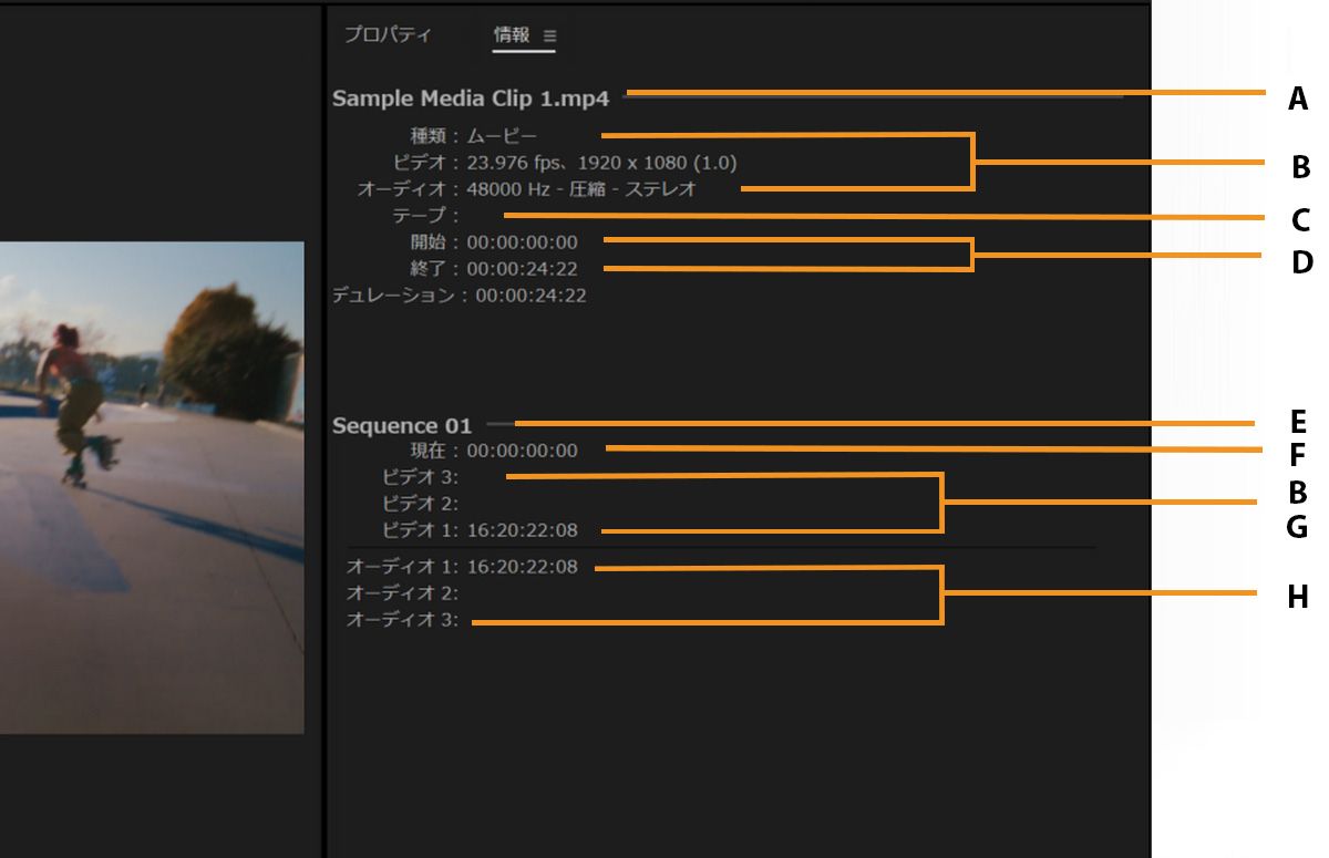 情報パネルには、ファイル名、ビデオの仕様、デュレーション、タイムラインの詳細など、ビデオのプロパティが表示されます。