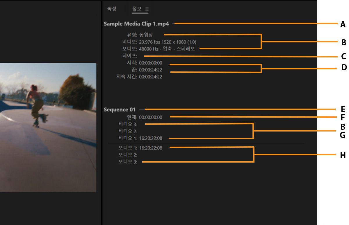 정보 패널은 파일 이름, 비디오 사양, 재생 시간 및 타임라인 세부 정보를 포함한 비디오 속성을 보여줍니다.