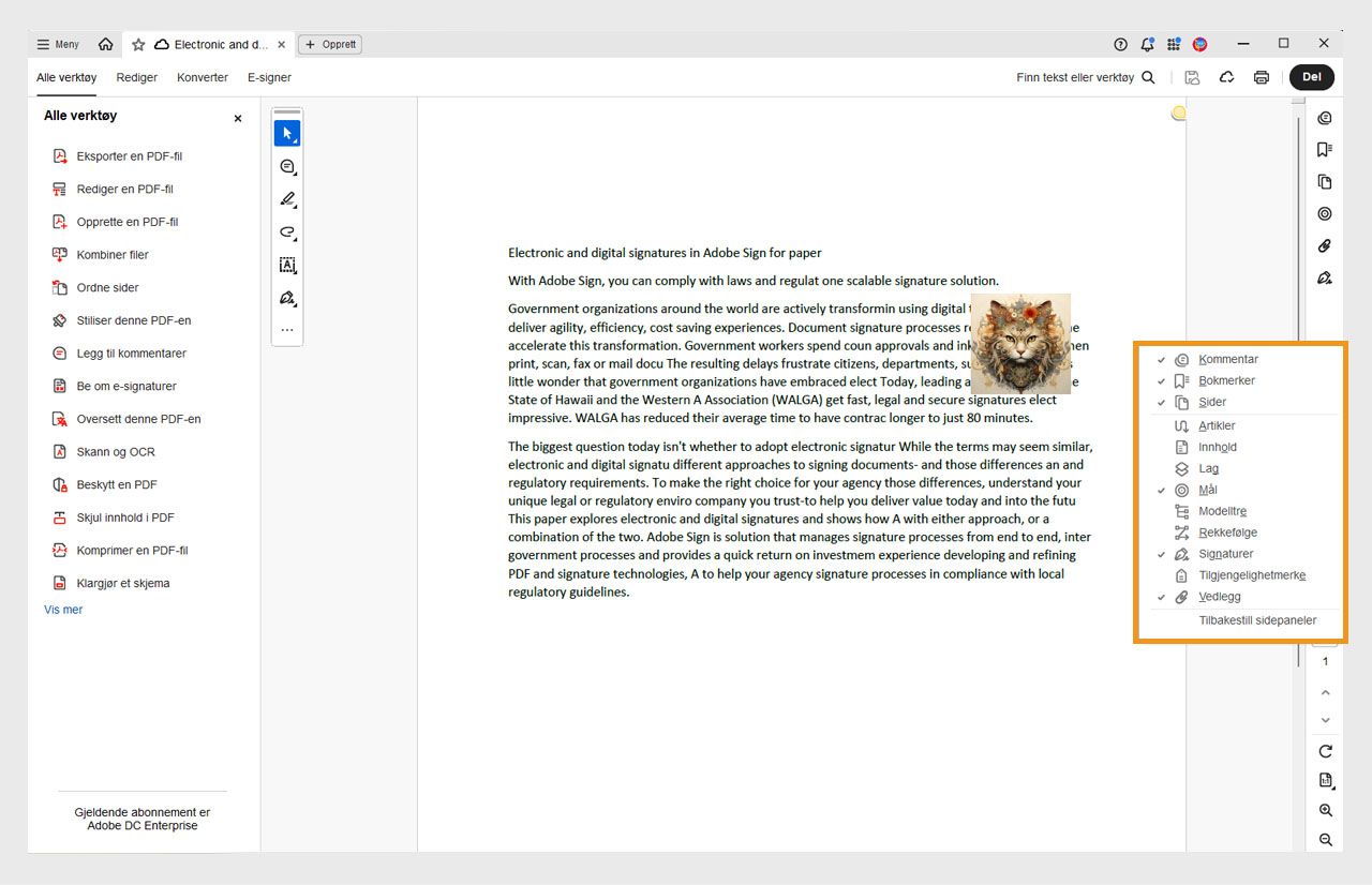 Den åpne dokumentvisningen i Acrobat viser sidepanelmenyen uthevet i oransje, med valgte verktøy markert med et avkrysningsmerke.