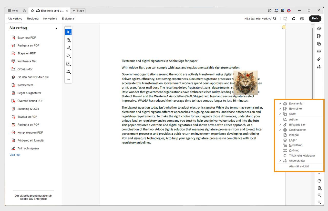 Vyn med det öppna dokumentet i Acrobat visar sidopanelmenyn markerad i orange, med valda verktyg markerade med en bock.