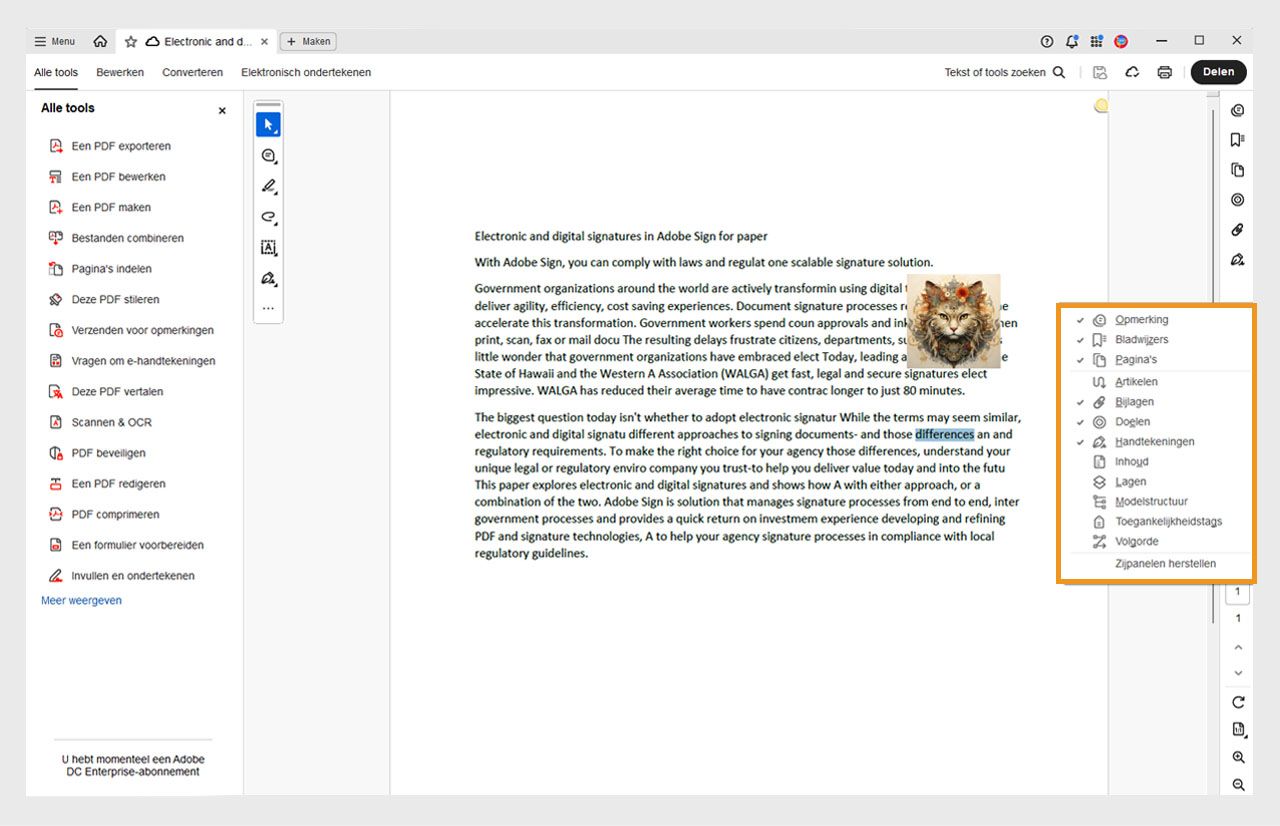 De geopende documentweergave in Acrobat toont het menu voor zijdeelvensters gemarkeerd in oranje, met geselecteerde tools gemarkeerd met een vinkje.