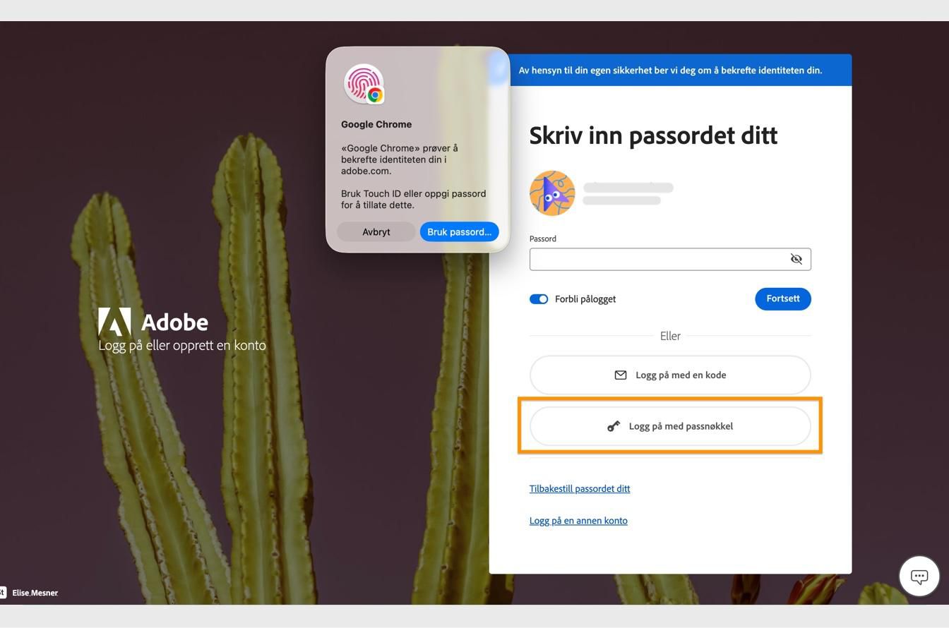 Bekreftelsesmeldingen, som vises etter at du velger Logg på med passnøkkel, lar deg bekrefte identiteten din ved hjelp av biometri eller passord.