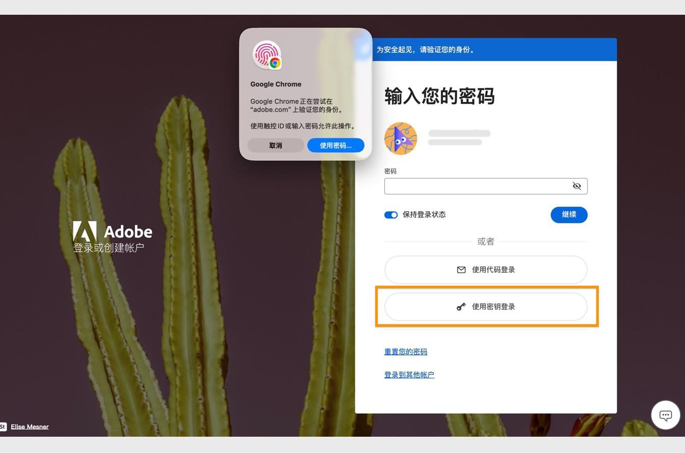 在您选择“使用通行密钥登录”后出现的验证提示，允许您使用生物识别或密码验证您的身份。