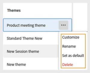 Themes menu showing options to customize, rename, set as default, or delete.