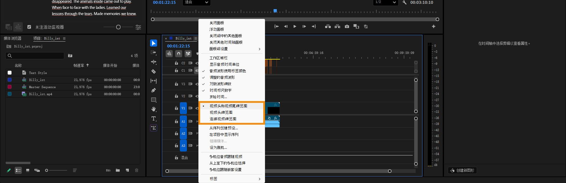 时间轴面板菜单提供三种显示选项：视频首尾缩略图、视频开头缩略图或连续视频缩略图。          询问 ChatGPT