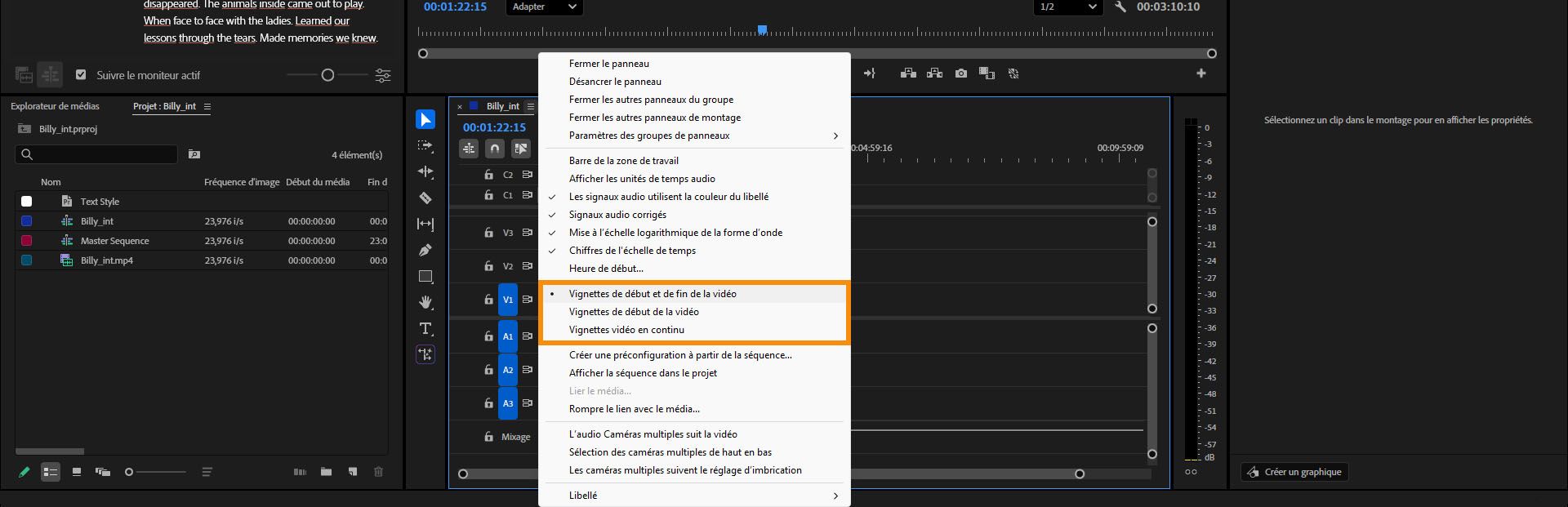 Panneau Montage avec un menu indiquant les options d’affichage des vignettes de début et de fin, vignettes de début uniquement ou vignettes vidéo en continu.          Demander à ChatGPT