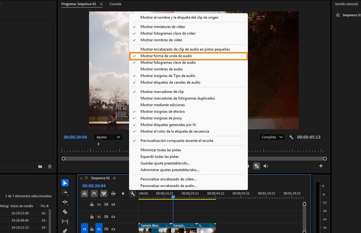 Menú Configuración de visualización de línea de tiempo con Mostrar forma de onda de audio seleccionado para mostrar formas de onda en pistas de audio.