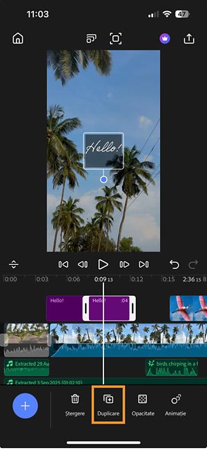 Linia temporală din Premiere arată un clip de text selectat, cu opțiunea Duplicare evidențiată în partea de jos a ecranului.
