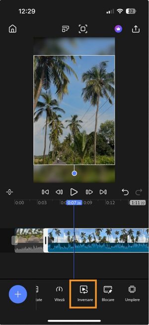 Cronologie cu un clip selectat și opțiunea Redare inversă evidențiată în bara de instrumente de jos.