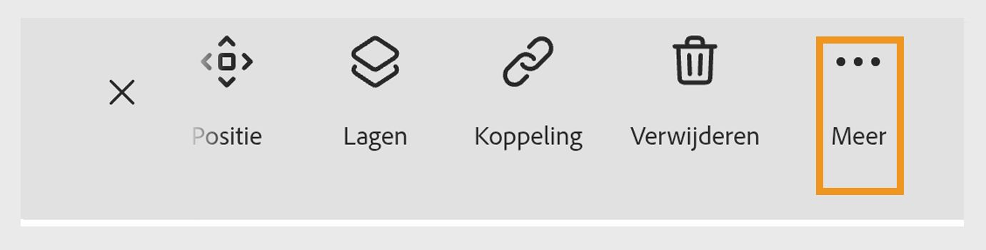 Werkbalkopties in Adobe Express met pictogrammen voor dekking, achtergrond instellen, transformeren, vervangen, verwijderen en een gemarkeerd menu 'Meer'.